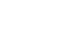 IDEA Foundation
